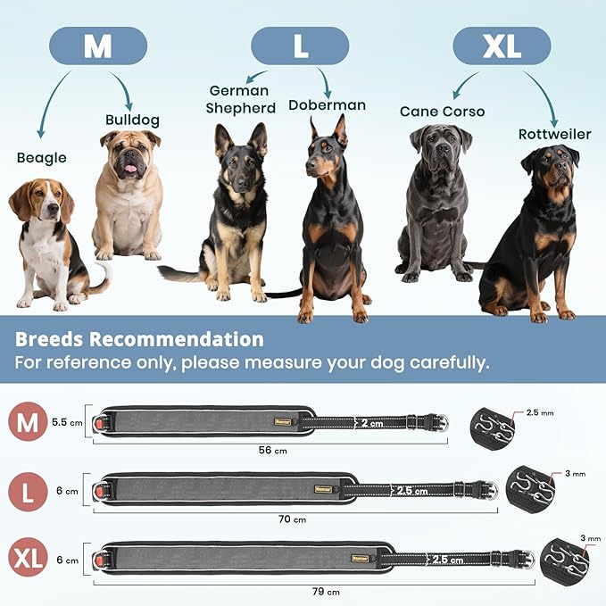 Mayerzon Patented No Pull Collar for Small Medium Large Dogs Beagle German Shepherd Rottweiler, Martingale Anti Pull Dog Collar with Buckle for Walking Training, Reflective, Adjustable, Waterproof