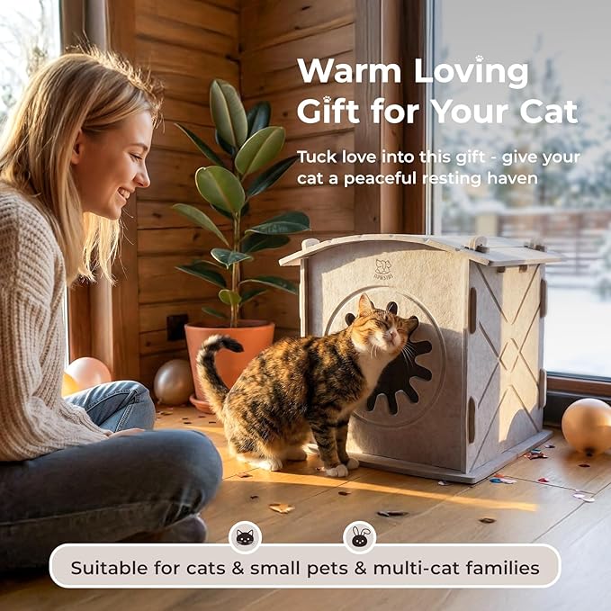 Apasiri Cat Houses for Indoor Cats: Felt Cat House Cave Cathouse, Scratch-Resistant Warm Insulated Covered, Hideaway Tent for Anxiety Relief Gift