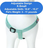 Pawtitas Reflective Step-in Dog Harness – Adjustable No-Pull Vest for Puppies to Seniors, Safe & Comfortable, XS Teal