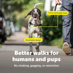 PetSafe Easy Walk Harness for Dogs - Pull-Free Walks - Patented Martingale Loop Design - Front Chest Leash Attachment - Comfort Straps - Breathable Harness Design - Medium/Large, Charcoal/Black