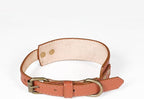 Lightnpro 21" Adjustable Tan Leather Dog Collar & Leash Set - Durable Soft Leather Collar with Leash - Comfortable, Heavy-Duty Walking & Training Gear for Large Breeds