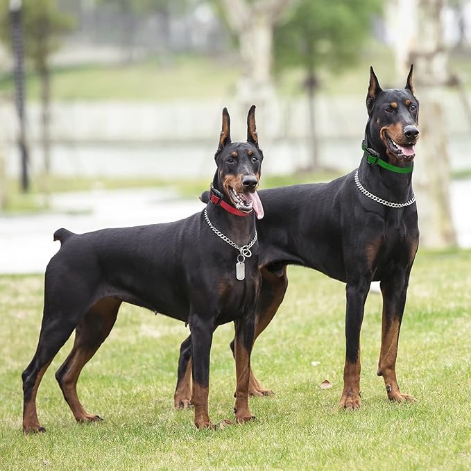 Educator PE-090 Add-A-Dog Receiver Collar – Compatible with ET-300, ET-400, EZ-900 & PE-900 Training Systems – Includes 3/4" Biothane Collar Strap – Expand 1-Dog System to 2 Dogs, Black