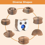 2-Pack Magic Organ Cat Scratcher, Cardboard Cat Toy with Interactive Ball Track, Foldable Cat Toy Cardboard Ring for Indoor Multi-Cat Homes, Kitten Fun Intelligence Exercise & Furniture Protection