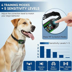 Smart Anti Bark Collar for Dogs | Rechargeable Dog Collar IP67 Waterproof with 5 Adjustable Sensitivity Levels | 3-in-1 Training Modes for All Dog Sizes with Dog tag| Stop Barking Instantly