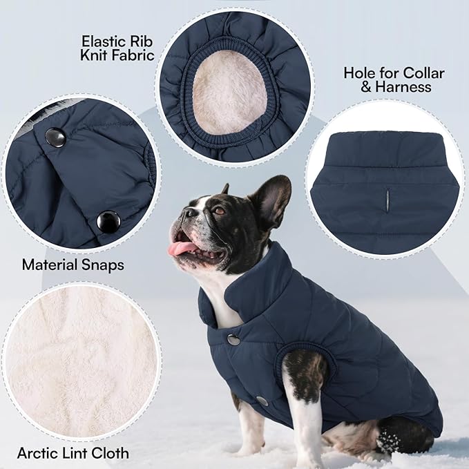ASENKU Dog Winter Coat - Waterproof Windproof Dog Jacket, Warm Snowproof Doggie Puffer Vest for Cold Weather, Lightweight Snow Coats for Small Medium Large Dogs (XL, Blue)
