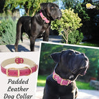 ADITYNA Heavy-Duty Pink Leather Dog Collar for Large Dogs - Soft Padded for Comfort - Girl Dog Collar for Walking, Training, and Hiking