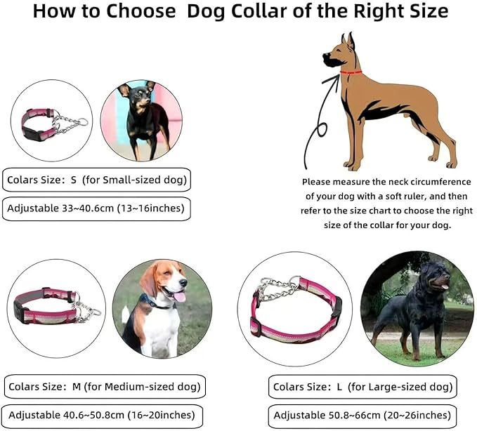 Martingale Dog Collars with Stainless Steel Chain, Reflective No Pull Walking Training Collar with Quick Release Buckle, Adjustable Slip Chain Nylon Dog Collars for Small Medium Large Dogs