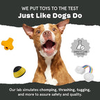 Barkbox Green Chew Leaf Dog Toy for Small Dogs – 2-in-1 Design with Mixed Textures and Surprises, Perfect for Tough Chewing and Playful Pups