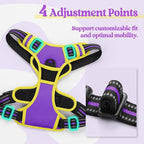 rabbitgoo Dog Harness No Pull with 2 Leash Clips, Adjustable Soft Padded, Reflective Oxford No Choke Pet Vest with Easy Control Handle for Large Dogs, Purple & Yellow, L