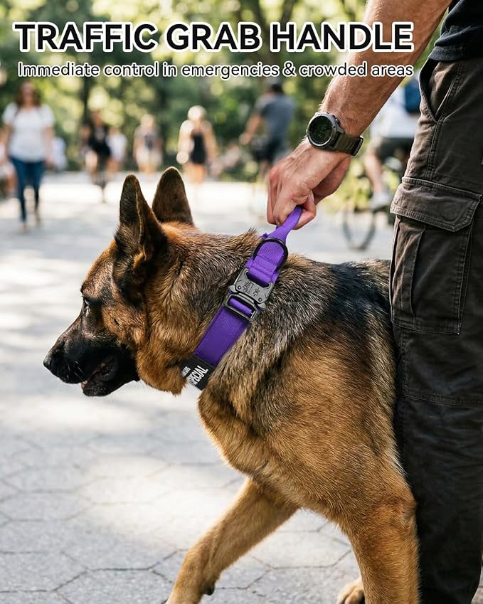 Joytale Tactical Dog Collar with Handle and Metal Buckle, Heavy Duty Padded Military Collar with 2 Patches for Training, Adjustable for XLarge Dogs, Purple, XL