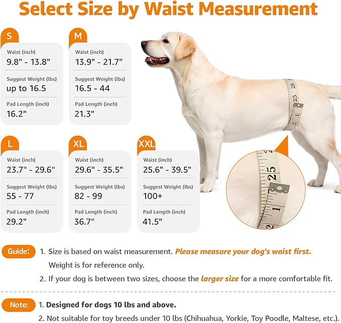 LOOBANI Portable Dog Sling for Back Legs, Hip Support Harness to Help Lift Dogs Rear for Canine Aid and Old K9 Cruciate Ligament Rehabilitation