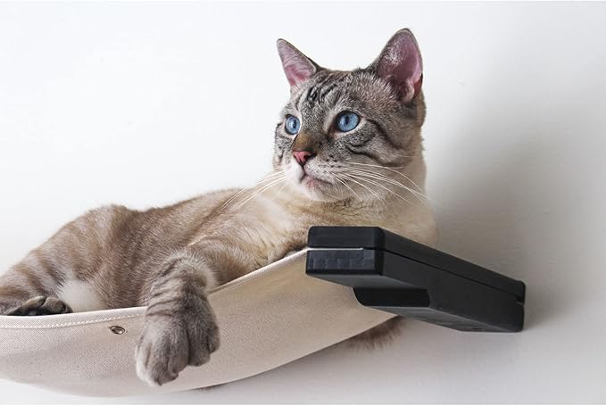 CatastrophiCreations Cat Multi-Level Raceway Hammock Wall Mounted Lounger for Climb and Play Furniture Cat Tree Shelves - Onyx/Natural, Large (176637476OXNAT)