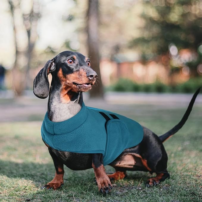 Queenmore Medium Dog Sweaters, Soft Fleece Vest Pullover Dog Jacket with Leash Hole, Warm Winter Dog Clothes Cold Weather Doggy Dachshund Sweater for Medium Dogs Cats Boy or Girl (Peacock-Blue,M)