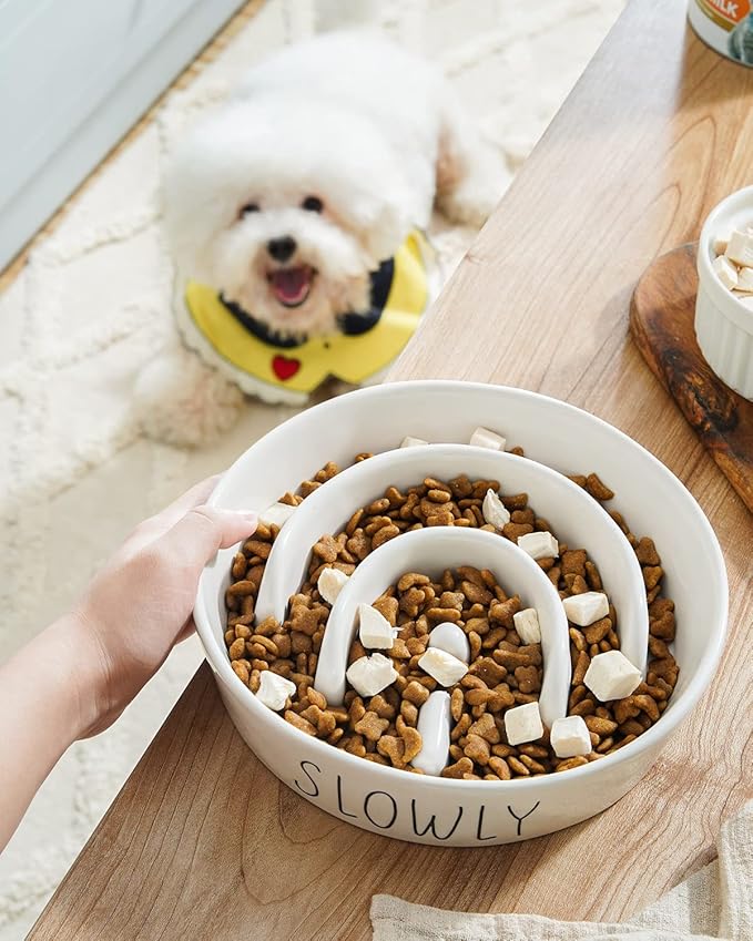 Slow Feeder Dog Bowls - 3-Cup Raised Ceramic & Wood Stand for Medium-Large Breed, White