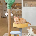 Cat Tree for Indoor Cats,Cactus Cat Climber Stand - Interactive Cat Tree Playhouse, Removable Cat Climber Stand with Space, Scratching Posts, Balls for Small Large Cats