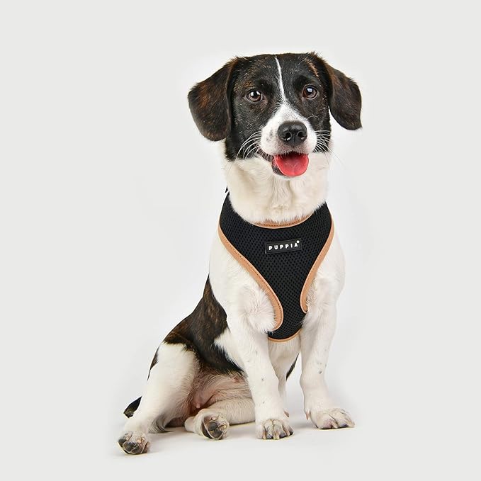 Puppia Soft Harness II - Black - M