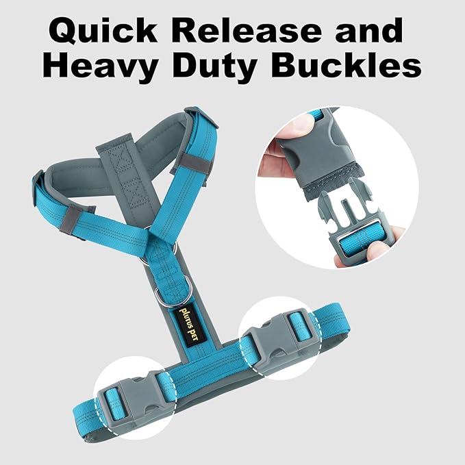 Plutus Pet No Pull Dog Harness, Adjustable Nylon Harness with Soft Padding, Reflective and Heavy Duty Dog Harness for Small, Medium, Large Dogs(Cyan, XS)