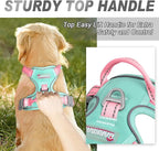 BARKBAY No Pull Dog Harness Front Clip Heavy Duty Reflective Easy Control Handle for Large Dog Walking(Cool Mint & Baby Pink,XS)