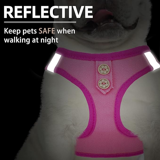PUPTECK Dog Harness and Leash Set for Small Medium Dogs No Pull Step-in Soft Mesh Puppy Cat Vest Harnesses Reflective at Night, Denim Pink XS