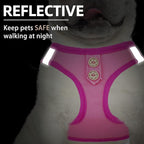 PUPTECK Dog Harness and Leash Set for Small Medium Dogs No Pull Step-in Soft Mesh Puppy Cat Vest Harnesses Reflective at Night, Denim Pink S