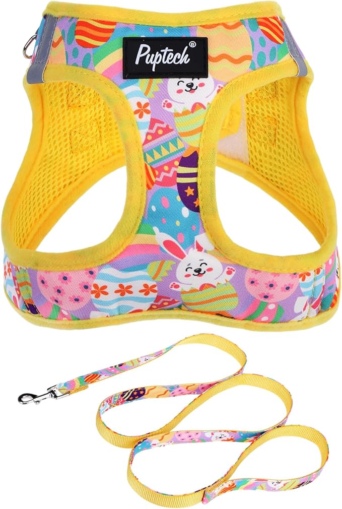 PUPTECK Dog Harness and Leash Set for Small Medium Dogs No Pull Step-in Soft Mesh Puppy Cat Vest Harnesses Reflective at Night, Easter Light Yellow, M