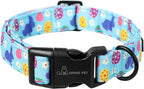 ARING PET Easter Dog Collar, Cute Blue Colorful Eggs Rabbit Floral Pet Collars with Quick Release Buckle for Puppy Small Medium Large Boy Girl Dogs-S
