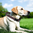 Martingale Collar for Dogs with Quick Release Buckle, Reflective Soft Padded & Escape Proof, Adjustable Nylon Dog Collars for Training & Daily Walking (Brown,L)