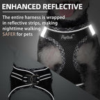 PUPTECK Dog Harness and Leash Set for Small Medium Dogs No Pull Step-in Soft Mesh Puppy Cat Vest Harnesses Reflective at Night, Upgraded New Black XS