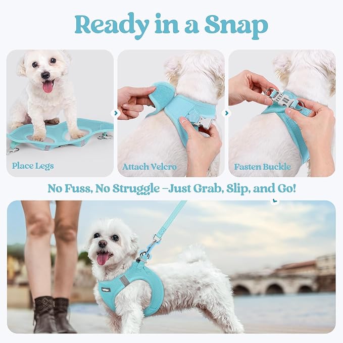 rabbitgoo Dog Harness Small Sized and Leash Set, Step in Soft Light Puppy Vest, Breathable Mesh Pet Harness, Reflective for Safe Easy Walking, Mint Blue XXS
