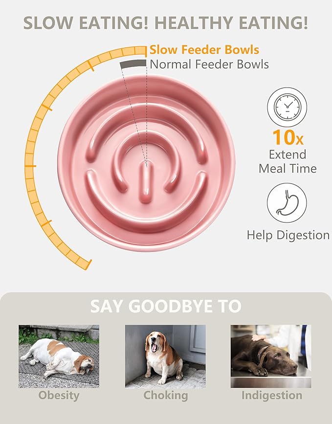 Ceramic Slow Feeder Bowls for Large Dogs, 3.0 Cups Slow Feeder for Fast Eaters, 48oz, 10in, Pink