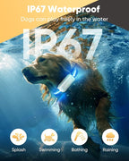 Remote Training Collar with LED Light – 3300FT Range, Rechargeable & Waterproof, Beep and Vibration Modes with Adjustable Levels, Reflective Strap for Small Medium Large Dogs（White）