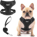 PUPTECK Small Dog Harness and Leash Set, No Pull Adjustable Puppy Cat Harness, Reflective Soft Mesh Pet Vest Small Sized, Black, L