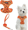 PUPTECK Halloween Small Dog Harness and Leash Set, No Pull Adjustable Puppy Cat Harness, Reflective Soft Mesh Pet Vest Small Sized, Pumpkin, S