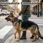Joytale Tactical Dog Collar for Large Dogs with Control Handle, Heavy Duty Military Training Collar for Power Breeds, AirTag Holder Case, Quick Release Metal Buckle, Soft Padded, L, Navy Blue