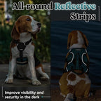 rabbitgoo Escape Proof Dog Harness Small Sized Dog, Soft Padded Full Body Pet Harness, Reflective Adjustable Vest with Lift Handle and Leash Clip for Walking Hiking Training, Dark Green, S
