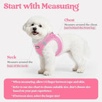 rabbitgoo Dog Harness Small Sized and Leash Set, Step in Soft Light Puppy Vest, Breathable Mesh Pet Harness, Reflective for Safe Easy Walking, Light Pink S
