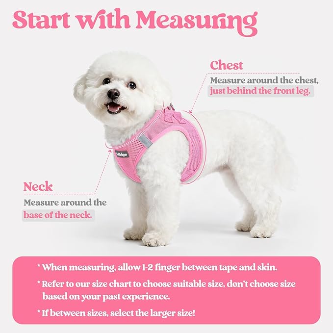 rabbitgoo Dog Harness Small Sized and Leash Set, Step in Soft Light Puppy Vest, Breathable Mesh Pet Harness, Reflective for Safe Easy Walking, Light Pink S