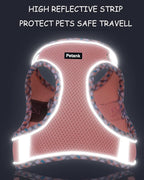 Petank Dog Harness for Small Medium Dogs No Pull, Puppy Harness and Leash Set, Step in Dog Harness for Walking, Running, Training, Small Dog Vest(Bule, XXS)