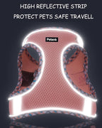 Petank Dog Harness for Small Medium Dogs No Pull, Puppy Harness and Leash Set, Step in Dog Harness for Walking, Running, Training(Purple, XS)