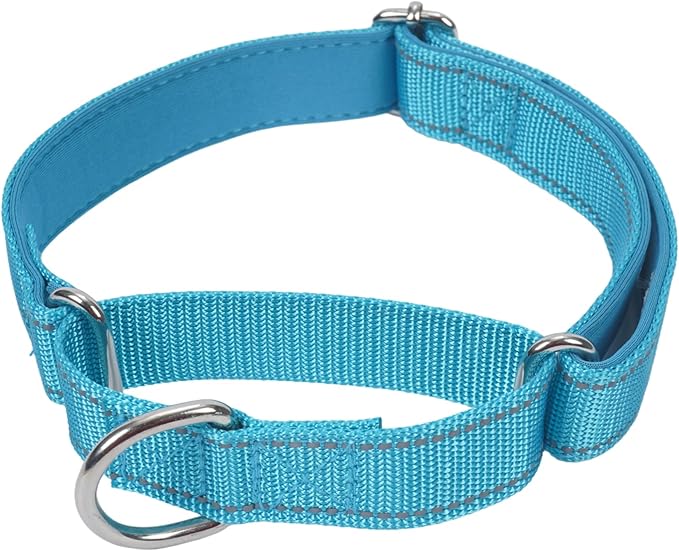 SGODA Martingale Dog Collar, Reflective Nylon Padded Dog Training Collars for Large Dogs, Blue L
