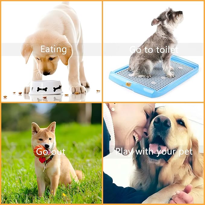 Pet Training Bell, 1 Pack Call Bell for Dog or Cat, 2.83 Inch Diameter with Metal Construction, White