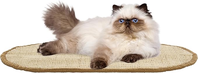 SAFAVIEH Cat Scratch Mat Pad Collection, 12" x 20" Oval, Beige, Sisal & Jute Boucle Weave, Velcro & Slip Resistant Backing