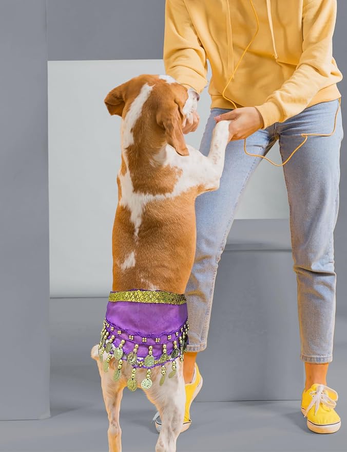 Dog Belly Dancer Costume - Puppy Outfit with Sequin Waist Chain & Hip-Shaking Skirt - Ideal for Corgi and Puppy Birthday Parties or Halloween Celebrations(Small,Purple)