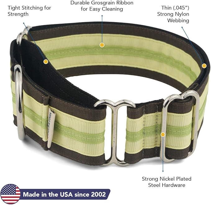If It Barks 1.5" Martingale Collar for Dogs, Adjustable Nylon, Made in USA,Key Lime Pie,Small (11" - 15")
