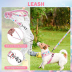 SCENEREAL Small Dog Harness Collar and Leash Set, Adjustable No Pull Pet Harnesses, No Chock Soft Mesh Vest for Doggie Puppy Medium Dogs Cats Girl or Boy,Chihuahua, Yorkie, Outdoor Walking