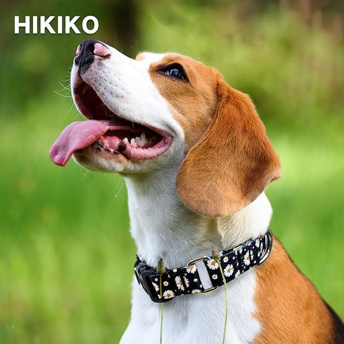 Hikiko Martingale Collar for Dogs with Buckle for Small Medium Large Dogs Soft Nylon Daisy Dog Collars Walking Training（Pure Daisy,Small）