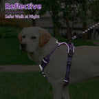 PUPTECK No Pull Dog Harness Medium Sized, Adjustable Reflective Dog Harness with Handle Easy Control, Comfortable Soft Padded Pet Vest Harness for Medium Dogs, Plaid Purple M