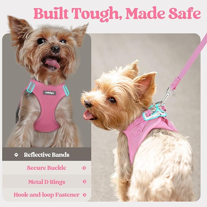 rabbitgoo Dog Harness Small Sized and Leash Set, Step in Soft Light Puppy Vest, Breathable Mesh Pet Harness, Reflective for Safe Easy Walking, Light Pink XS