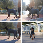 Warm Drakgray Dog Coat, Windproof Fleece Jacket for Small to Large Dogs, Zippered Closure, Outdoor Winter Coat