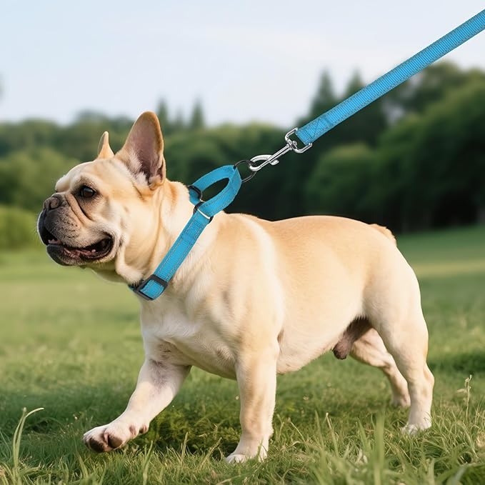 Martingale Collar for Dogs with Quick Release Buckle, Reflective Soft Padded & Escape Proof, Adjustable Nylon Dog Collars for Training & Daily Walking (Aqua Blue,S)